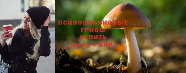 кристаллы Няндома