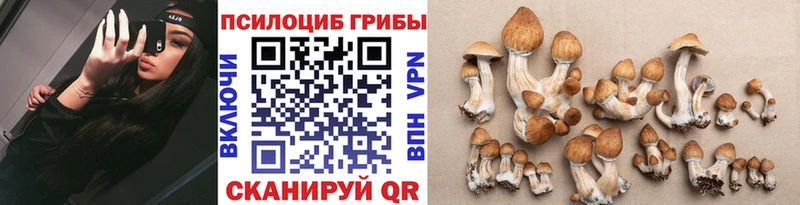ссылка на мегу ссылка  наркотики  Сычёвка  Галлюциногенные грибы MAGIC MUSHROOMS 